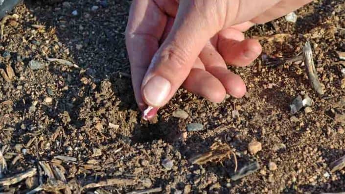 A person touching the ground with their fingers.