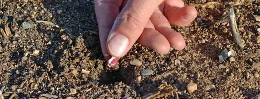 A person touching the ground with their fingers.