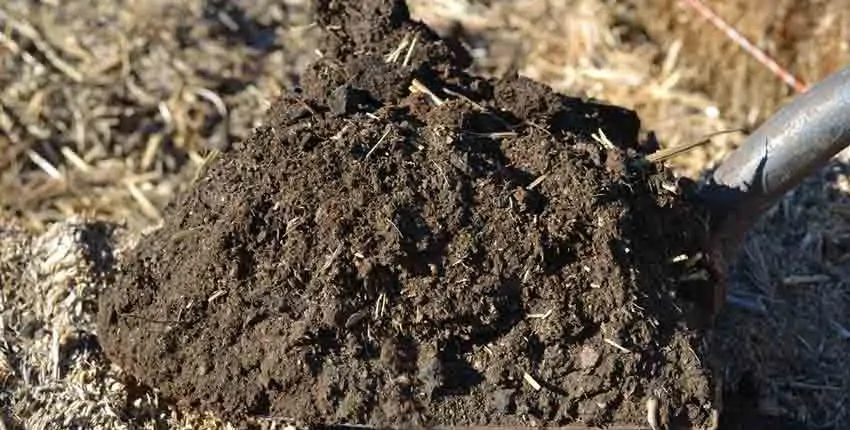 A pile of dirt on the ground in the sun.