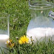 A couple of glasses sitting in the grass.