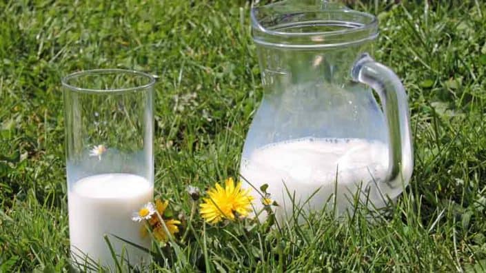 A couple of glasses sitting in the grass.