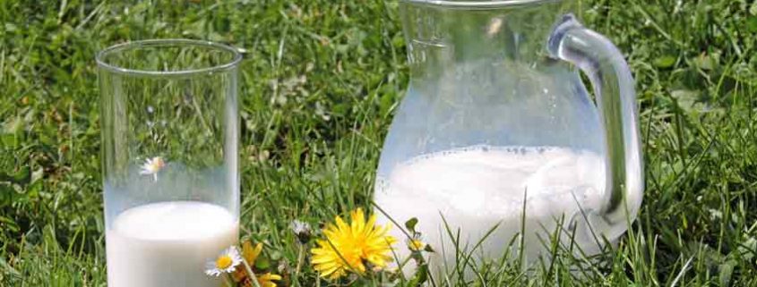 A couple of glasses sitting in the grass.