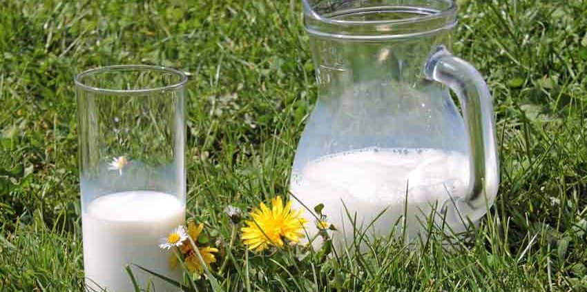 A couple of glasses sitting in the grass.