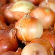 A close up of onions in the middle of a pile