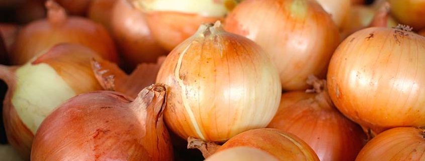 A close up of onions in the middle of a pile