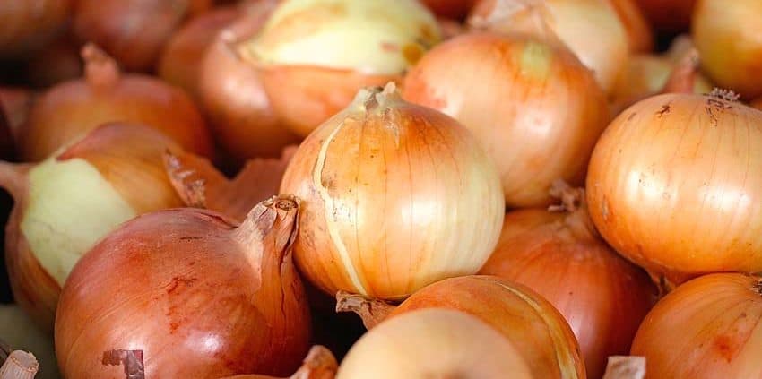 A close up of onions in the middle of a pile