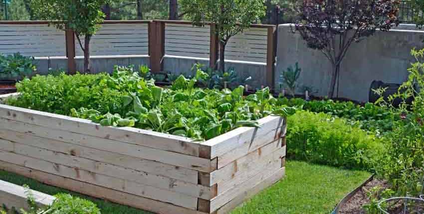 A wooden planter box with plants growing in it.