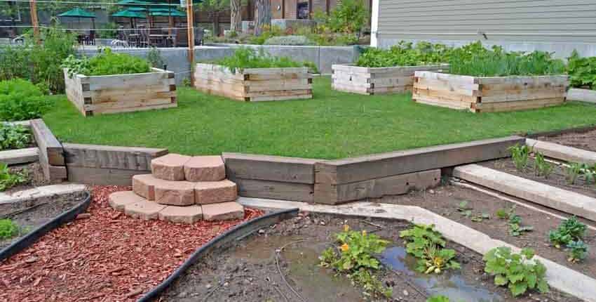 A garden with grass and plants in it.