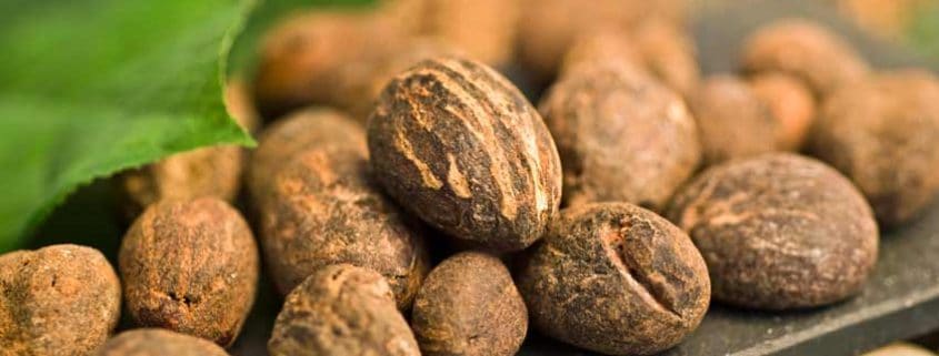 A close up of some nuts on a table