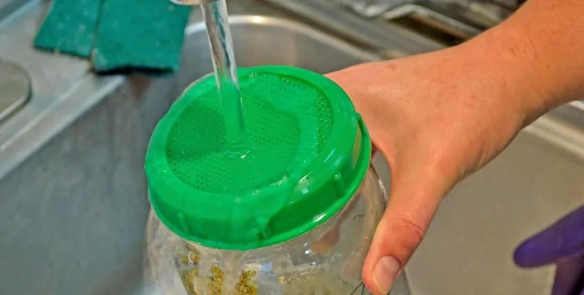 A person is holding onto the lid of a jar.