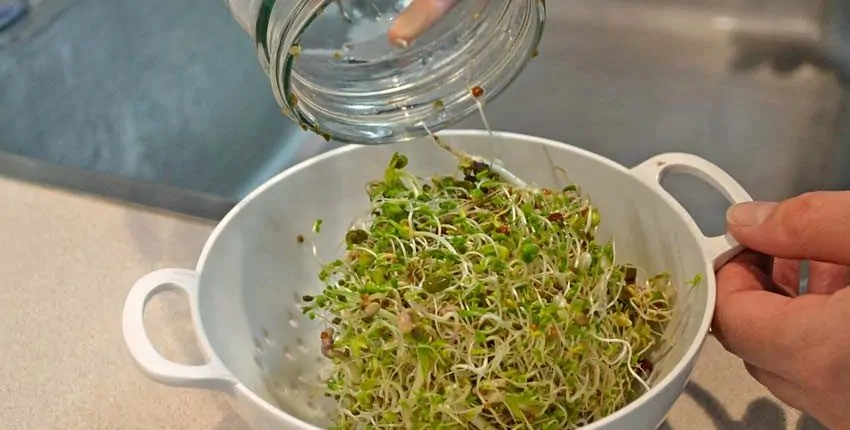 A person is holding onto the lid of a jar.