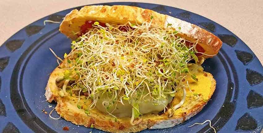 A blue plate topped with food covered in sprouts.