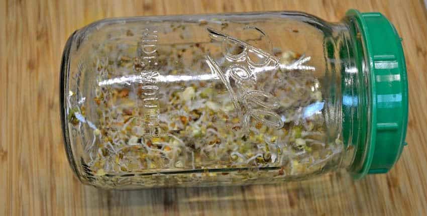 A glass container filled with food on top of a table.