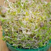 A bowl of sprouts on top of a wooden table.