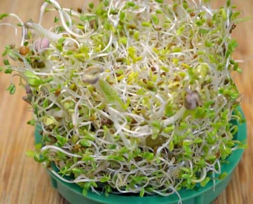 A bowl of sprouts on top of a wooden table.