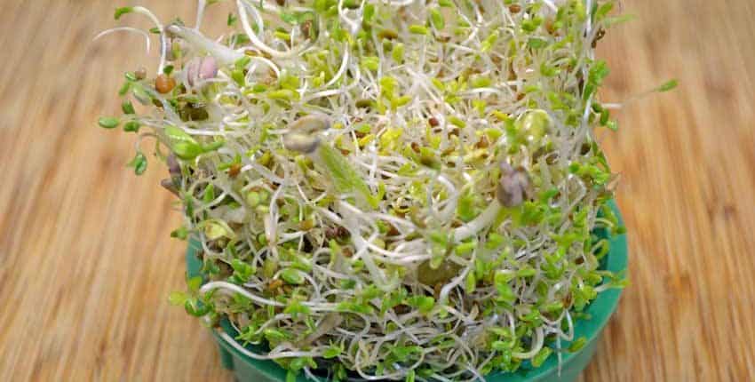 A bowl of sprouts on top of a wooden table.