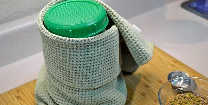 A green bottle sitting in a knitted bag.