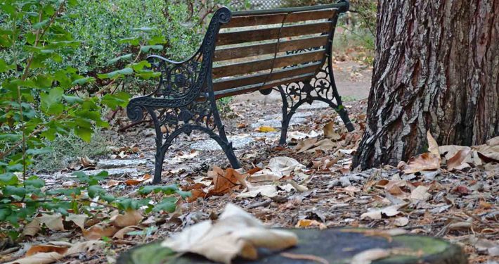 A bench in the middle of some leaves