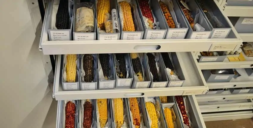 A shelf with many different types of knives.