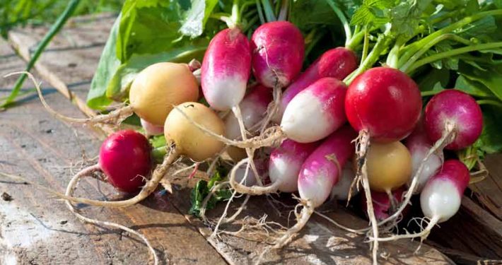 A bunch of radishes are sitting on the ground.