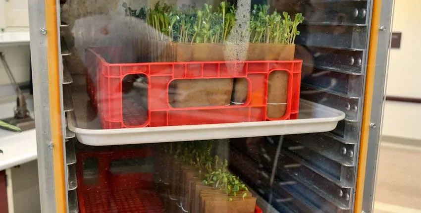 A red crate with plants in it on the shelf.