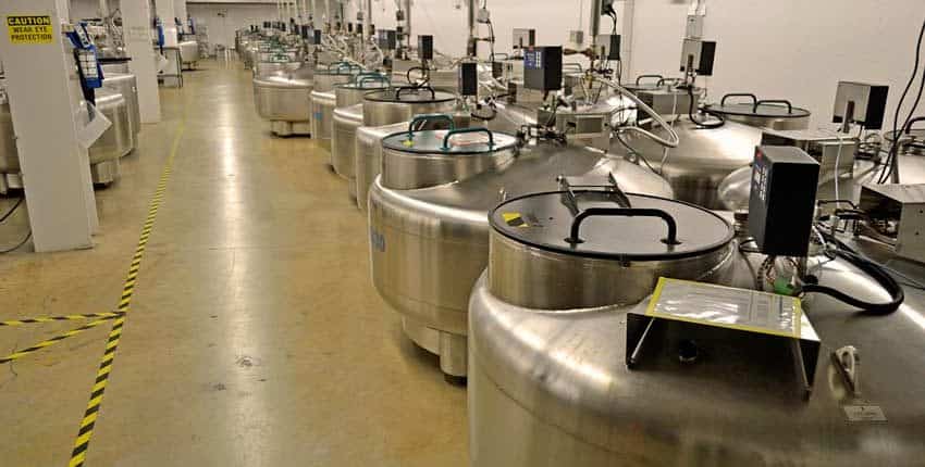 A large room filled with many stainless steel tanks.