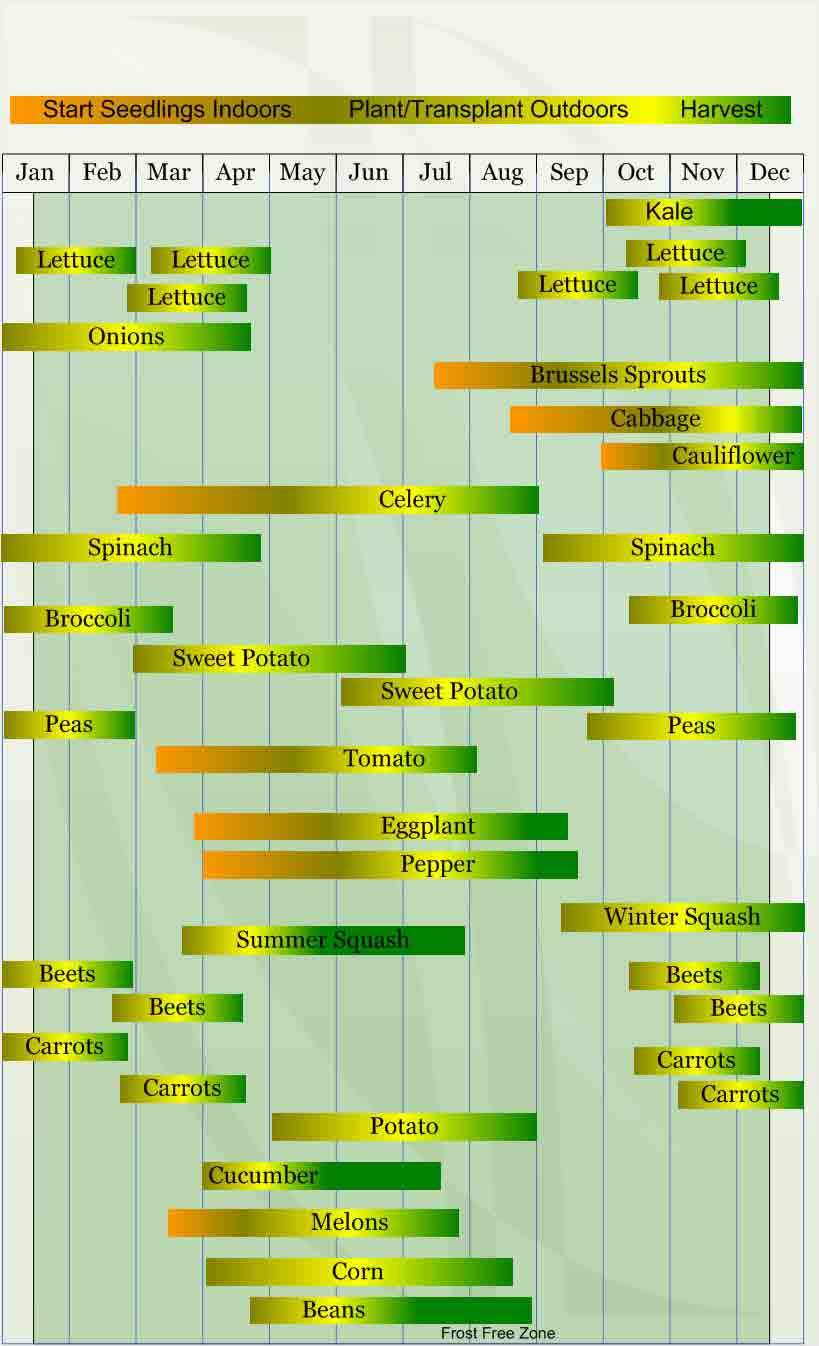 A green and yellow chart with many different words.