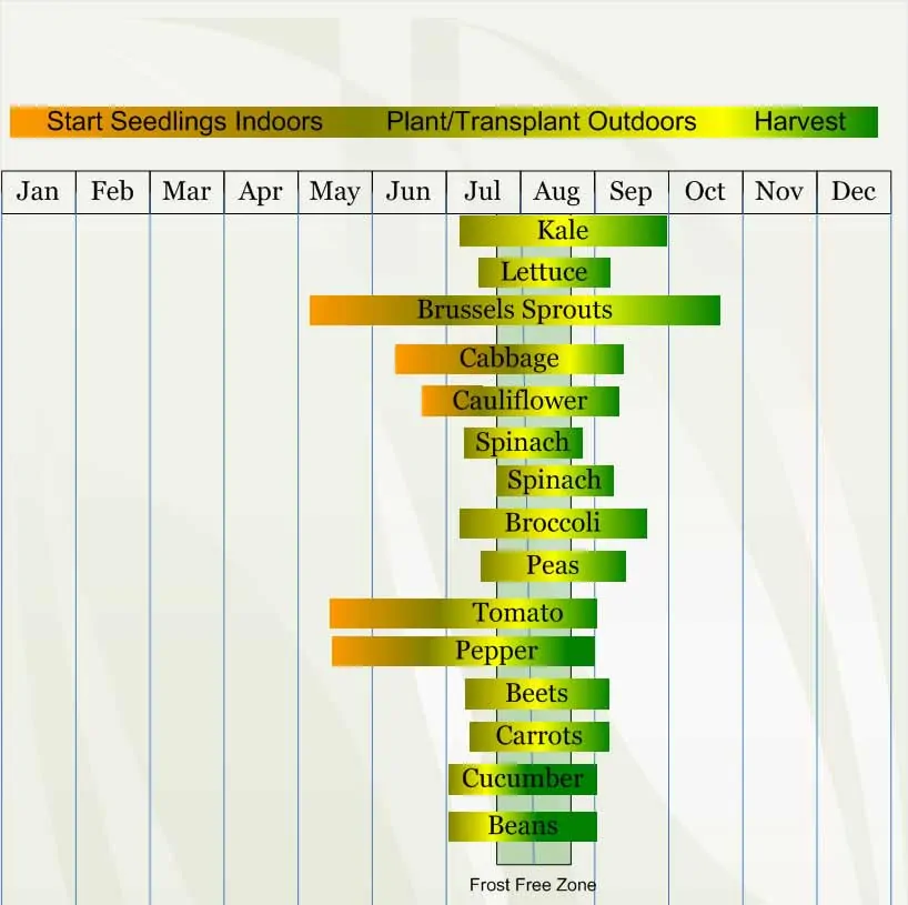 Zone 3 Planting Guide