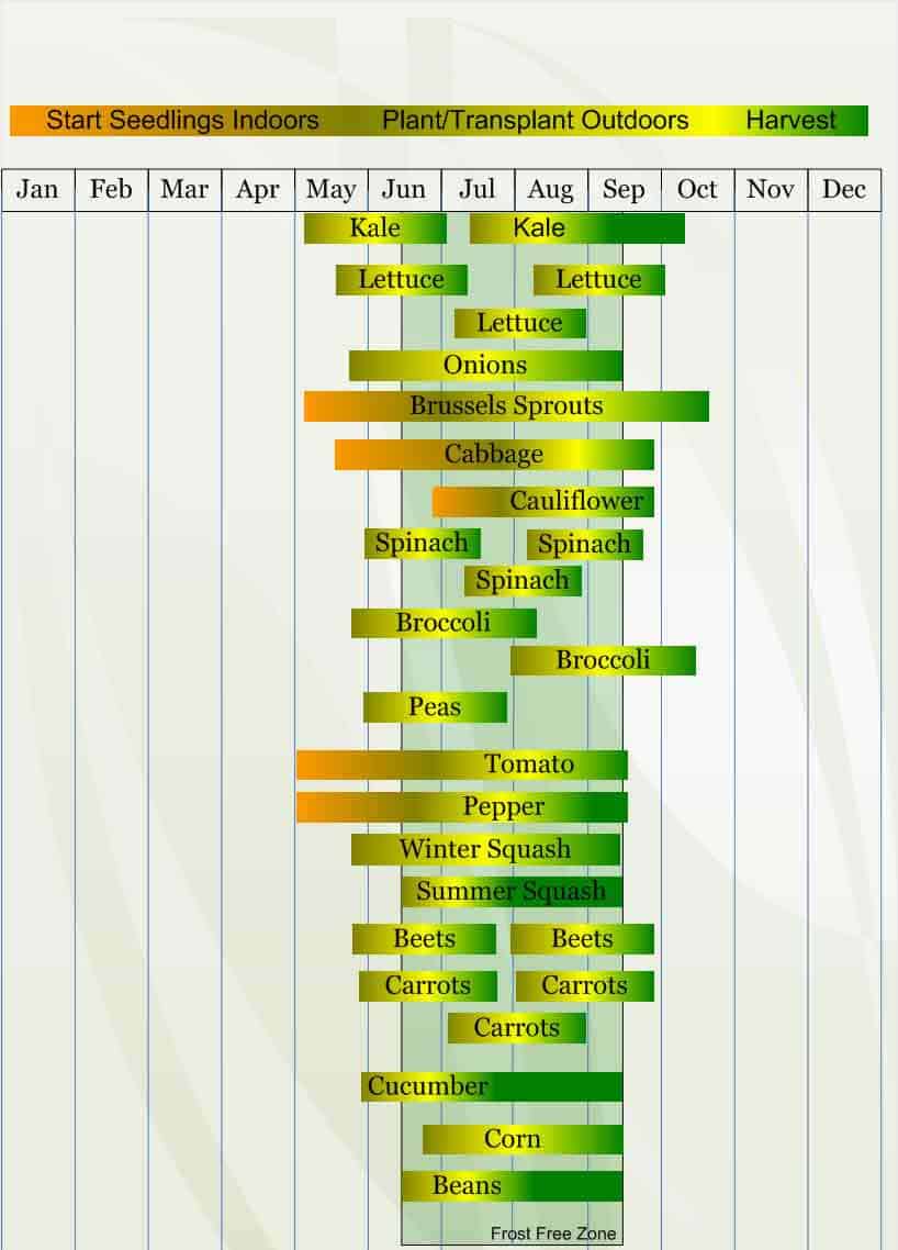 A chart of the time each day in different countries.