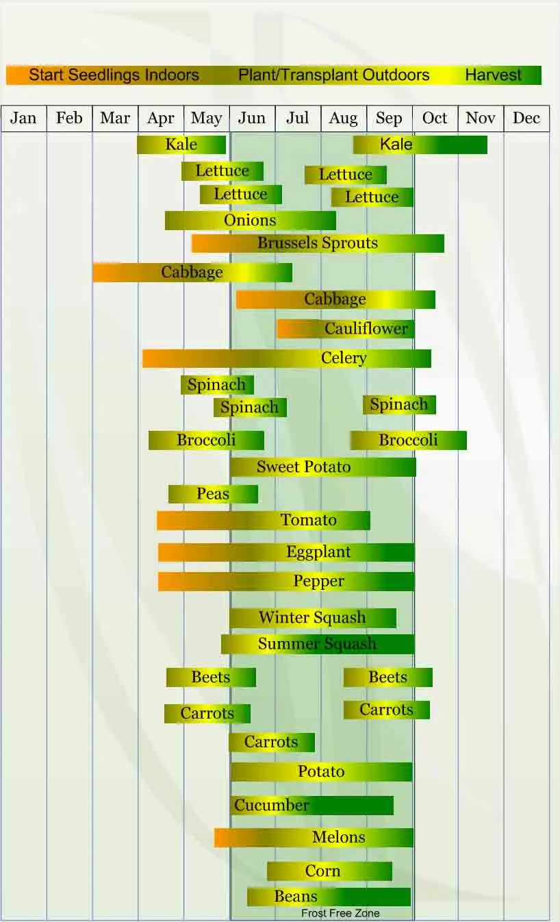 A green and yellow strip with many different words