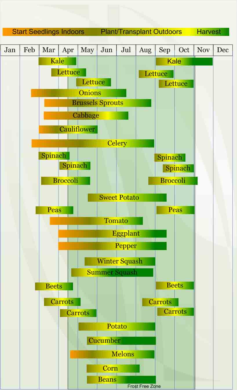 A green and yellow vertical line with many lines