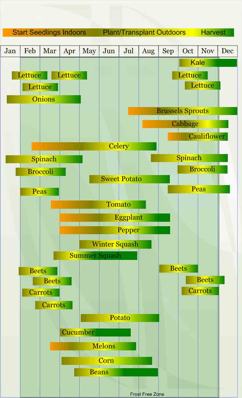 A green and yellow chart with many different things in it