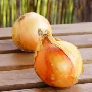 Two onions are sitting on a table outside.