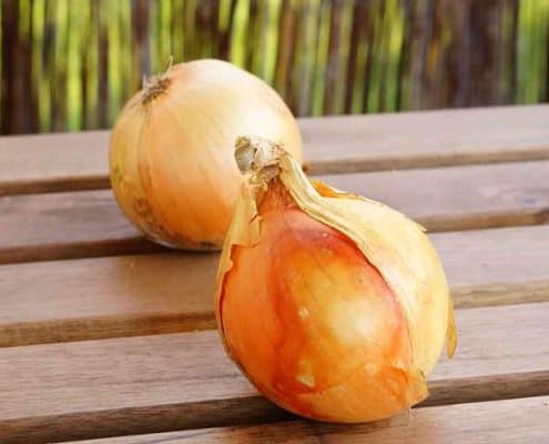 Two onions are sitting on a table outside.