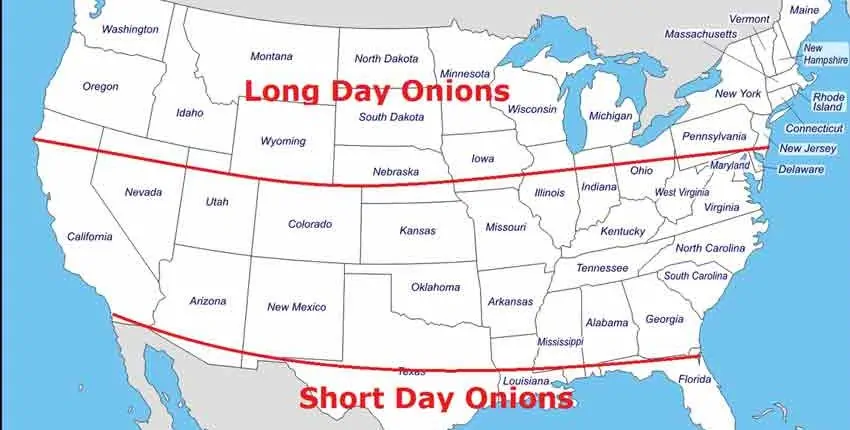 A map of the united states with long day onions and short day onions.