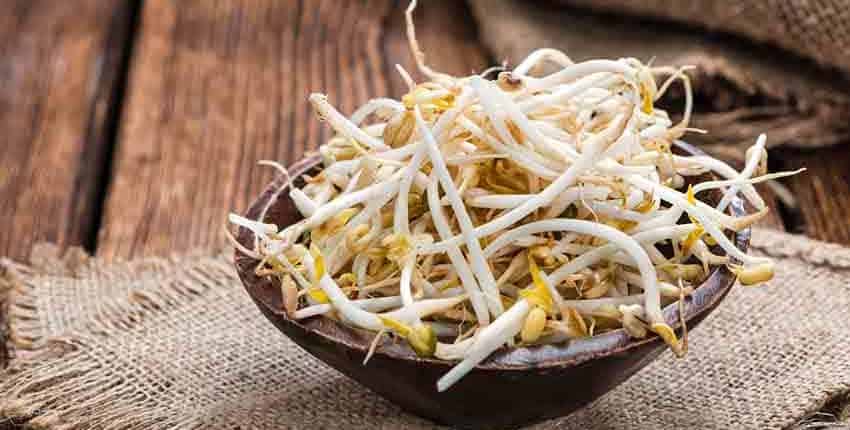 A bowl of bean sprouts on top of a table.