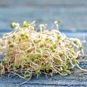 A pile of sprouts sitting on top of a wooden table.