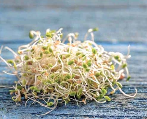 A pile of sprouts sitting on top of a wooden table.