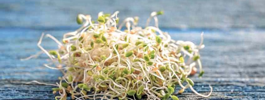 A pile of sprouts sitting on top of a wooden table.