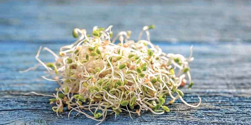 A pile of sprouts sitting on top of a wooden table.