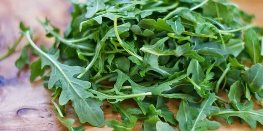 A close up of some green leaves on a plate