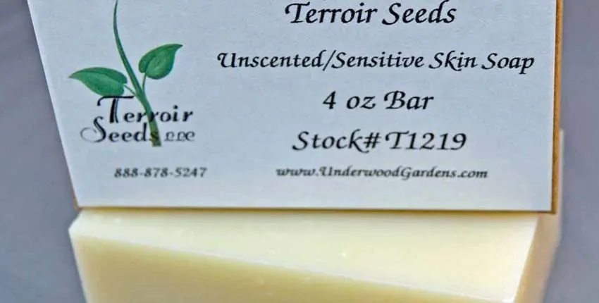 A close up of the back of a business card.