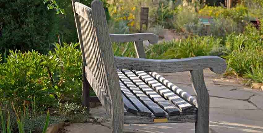 A bench with a keyboard on it sitting in the middle of a garden.