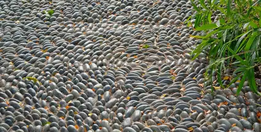 A close up of many rocks on the ground