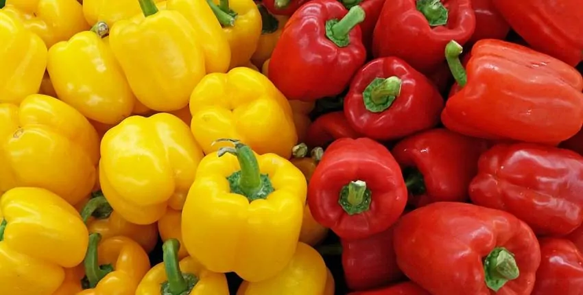 A close up of yellow and red peppers