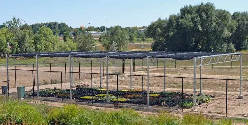 A fenced in area with trees and bushes.