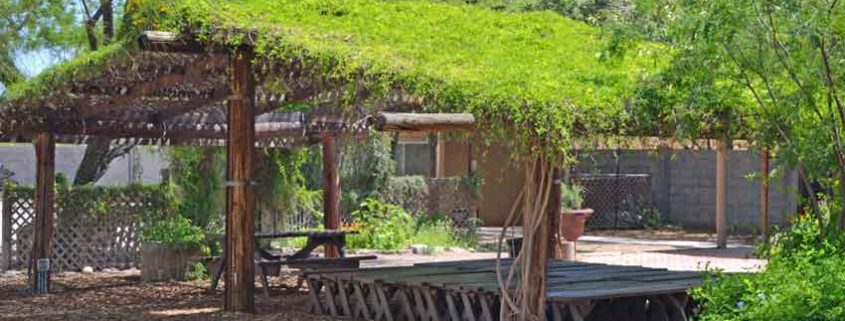 A wooden structure with grass on top of it.