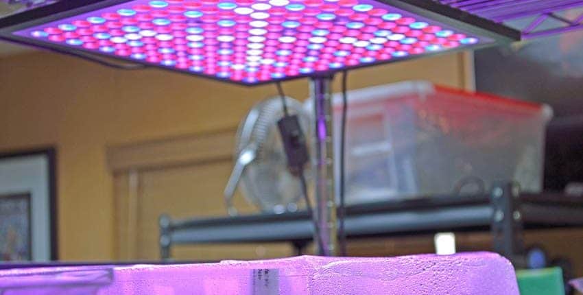 LED Grow Light