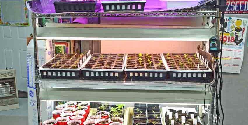 Mid-Season Grow Rack Configuration