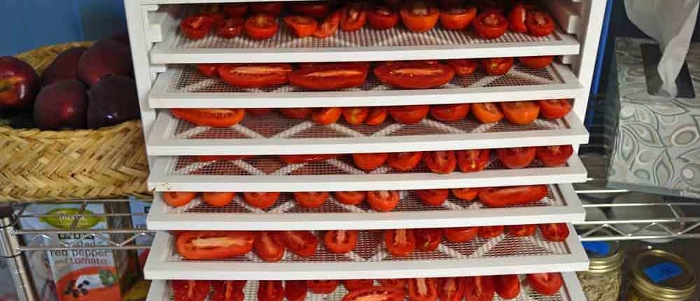 A close up of tomatoes in trays on the shelves